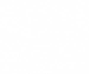 %% Blog HIPAA Compliant Website Hosting and Management Services: Ensuring Data Security in Healthcare