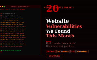 %% Blog Top 20 Website Vulnerabilities We Found This Month